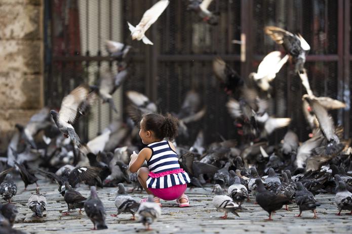 El Parque de las Palomas es el único lugar en el Viejo San Juan donde se permite alimentar palomas, pues en el resto de los espacios está prohibido mediante ordenanza municipal.