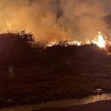 Soldados y aviones combaten incendios forestales en España