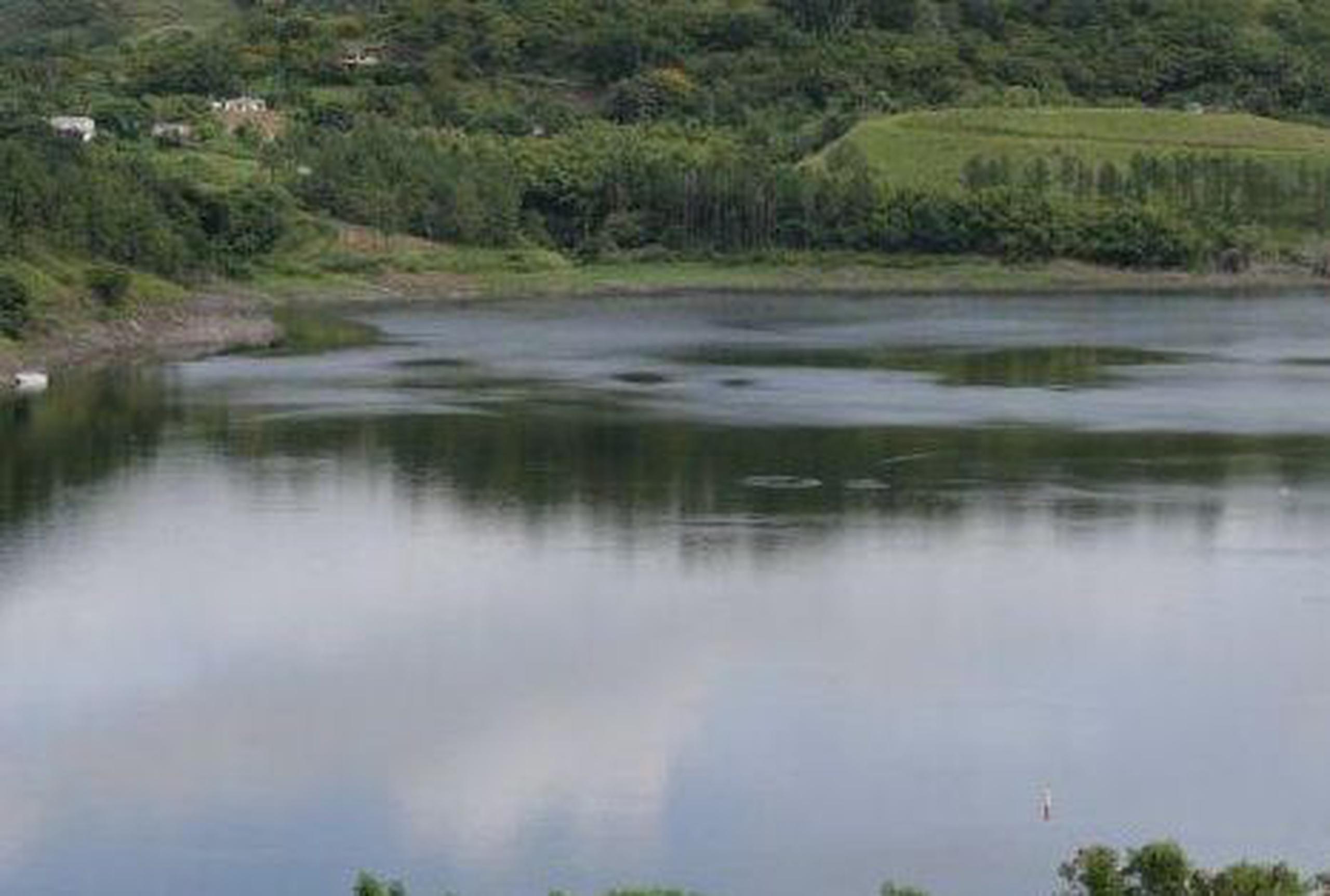 La Autoridad de Acueductos y Alcantarillados (AAA) se unió a la EPA para trabajar en un proyecto  en el lago en Villalba. <font color="yellow">(Archivo)</font>