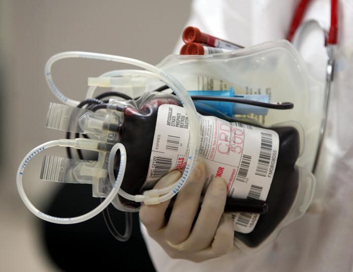 La donación de sangre no afecta el sistema inmunológico de la persona que está donando. (GFR Media)