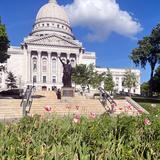 Retiran supuestas plantas de marihuana del jardín del Capitolio de Wisconsin