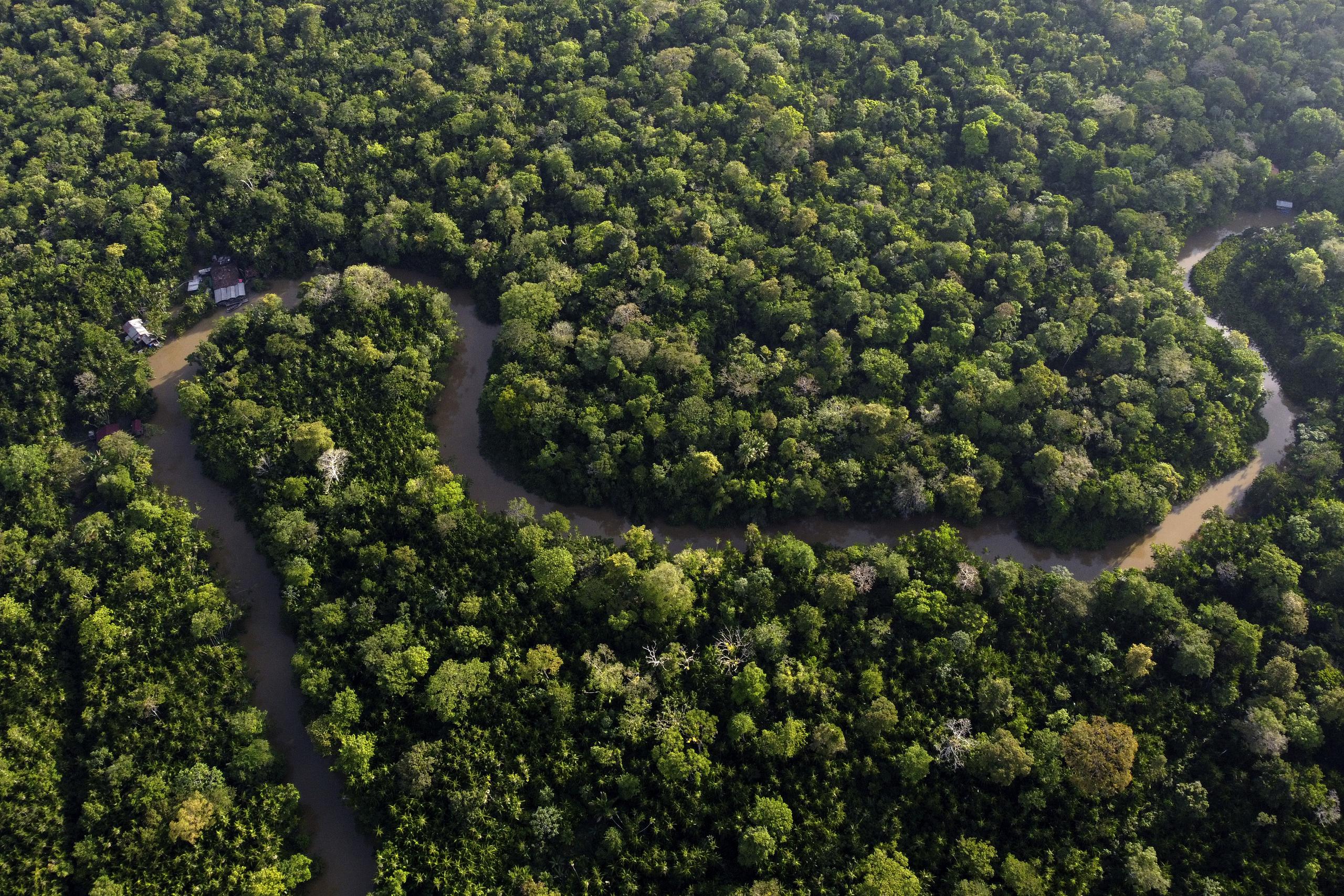 Vista de la selva amazónica con el río Guama y la isla Combu cerca de Belem, Brasil, 6 de agosto de 2023. La Cumbre de la Amazonia, de dos días, comienza el martes 8 de agosto de 2023 en Belem. (AP Foto/Eraldo Peres)