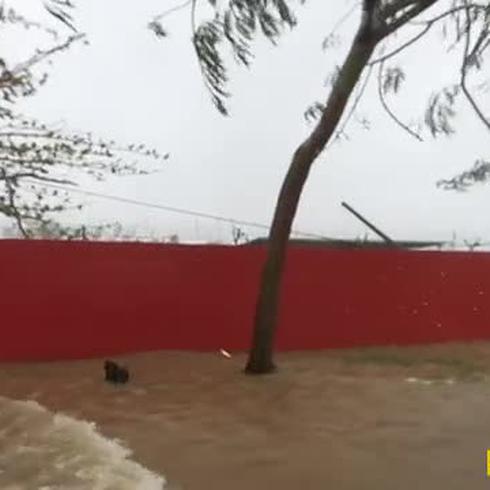 "Triste" situación en Cataño por los daños en el municipio