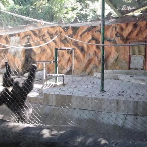 Entramos al zoológico de Mayagüez y esto fue lo que vimos