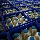Tres Monjitas confirma aumento en el precio del cuartillo de leche fresca
