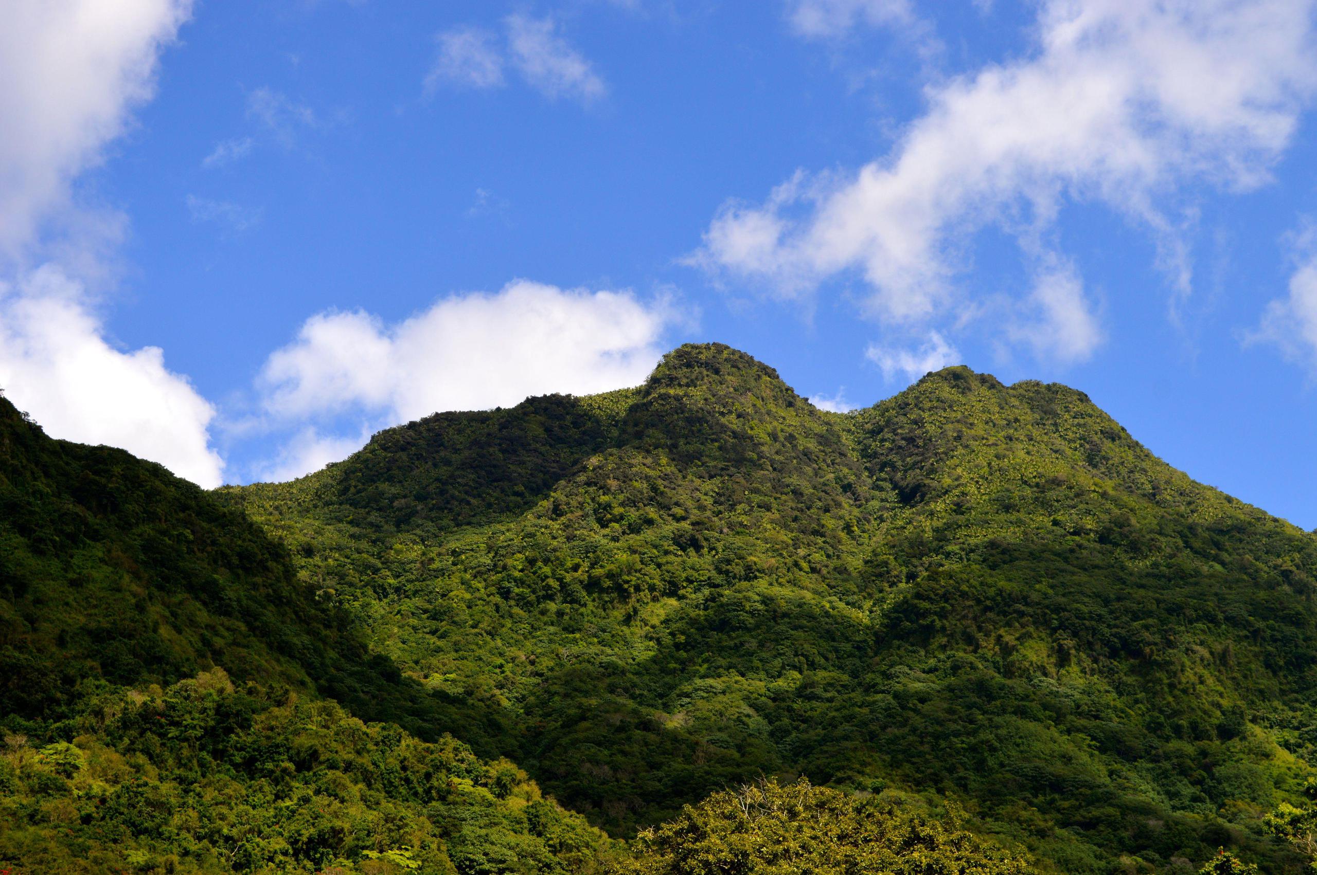 Tres Picachos se encuentra en la Cordillera Central, entre los municipios de Ciales y Jayuya, a una elevación de entre 380 y 1,205 metros sobre el nivel del mar. (GFR Media)
