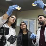 Profesores y estudiantes trabajan en innovadoras investigaciones sobre el cáncer en el Recinto de Humacao de la UPR 
