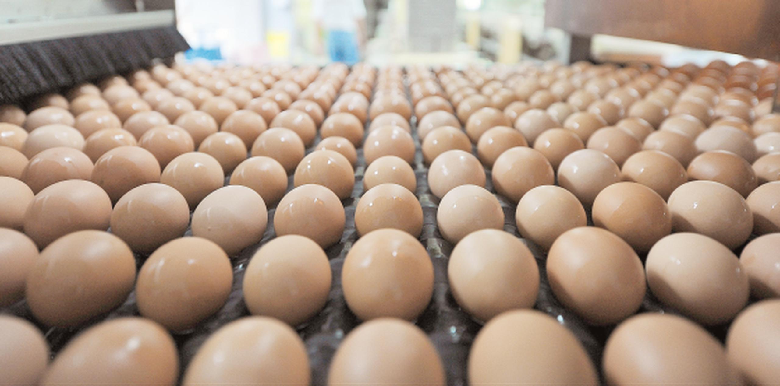Independientemente de que el huevo importado acapare más de un 90% del mercado local, la realidad es que está más caro. (Archivo)