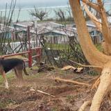 Megatifón Mawar azota con fuerza a Guam