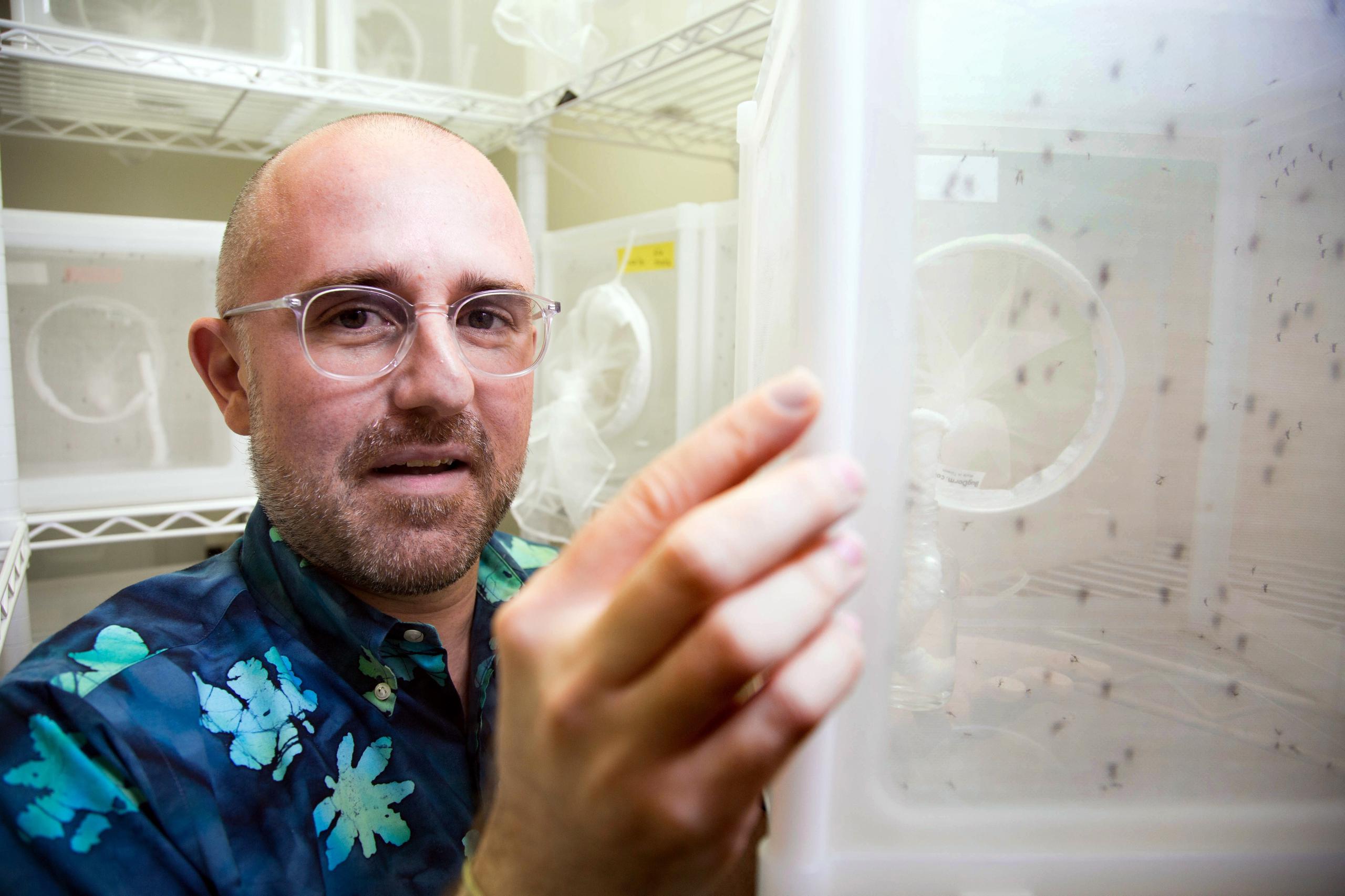 El experto biomolecular Matthew DeGennaro confía en que esta suerte de “enmascaramiento” bioquímico de los humanos frente a los mosquitos esté listo para su uso en ensayos clínicos antes de cuatro años.