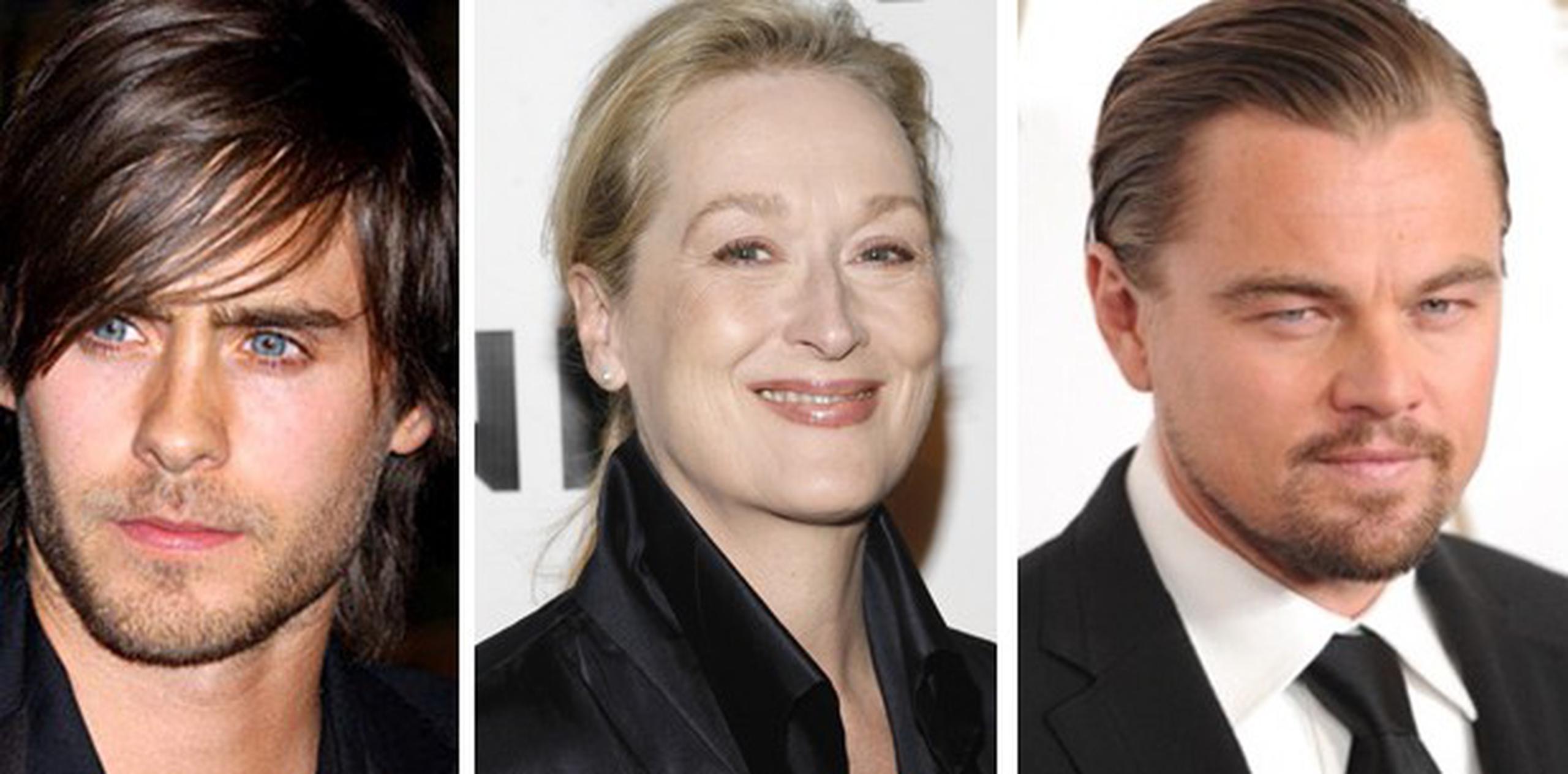 Jared Leto, Meryl Streep y Leonardo DiCaprio son defensores de nobles causas. (Archivo)