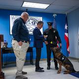 Canes de la Policía Municipal de San Juan son ascendidos de rango tras su retiro