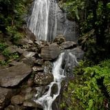 Cadáver hallado en El Yunque corresponde a menor desaparecido 