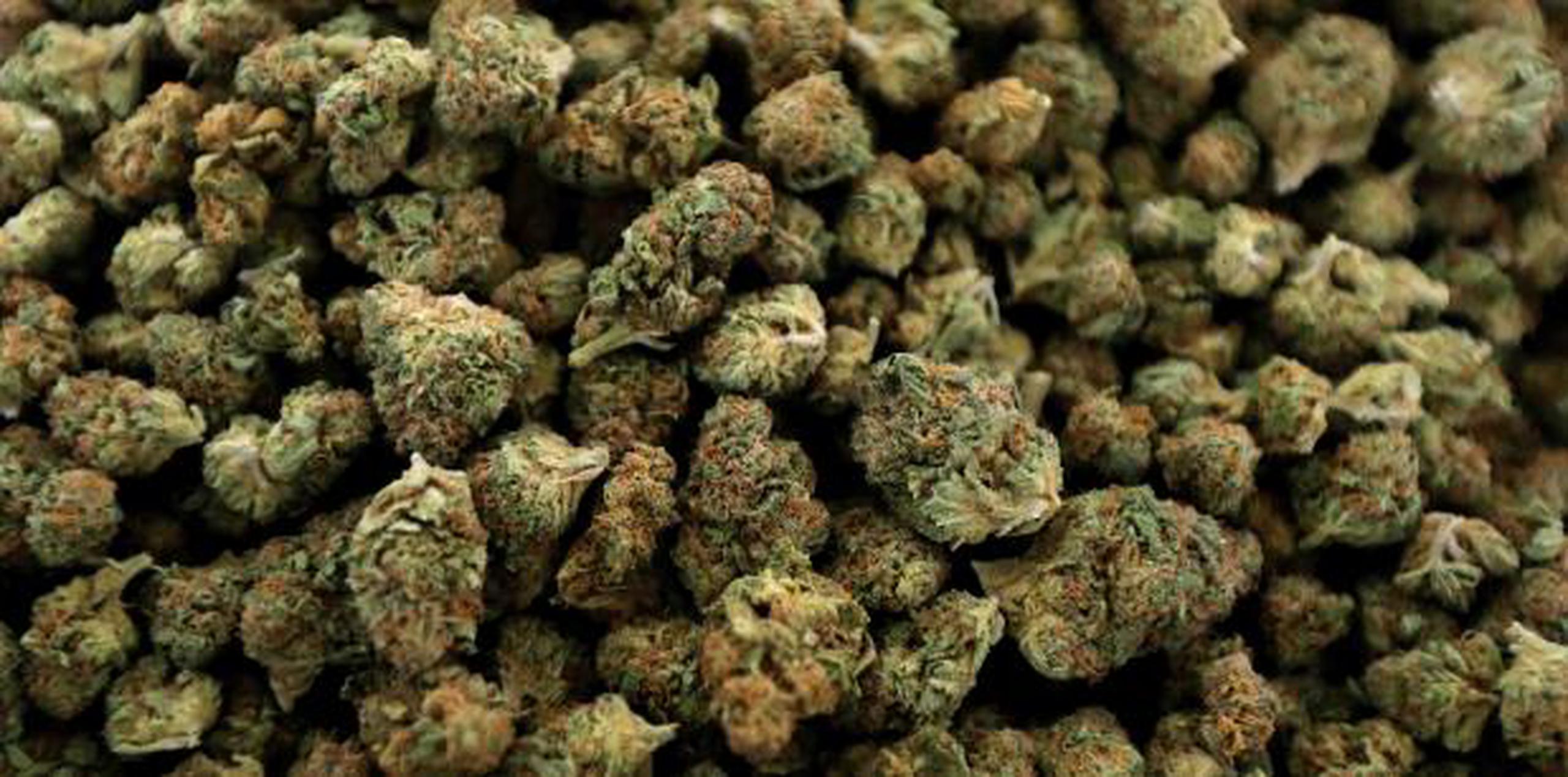 Se espera que el rápido crecimiento del mercado de cannabis continúe a medida que se extiende la legalización en Estados Unidos y cambian las normas sociales. (AP)