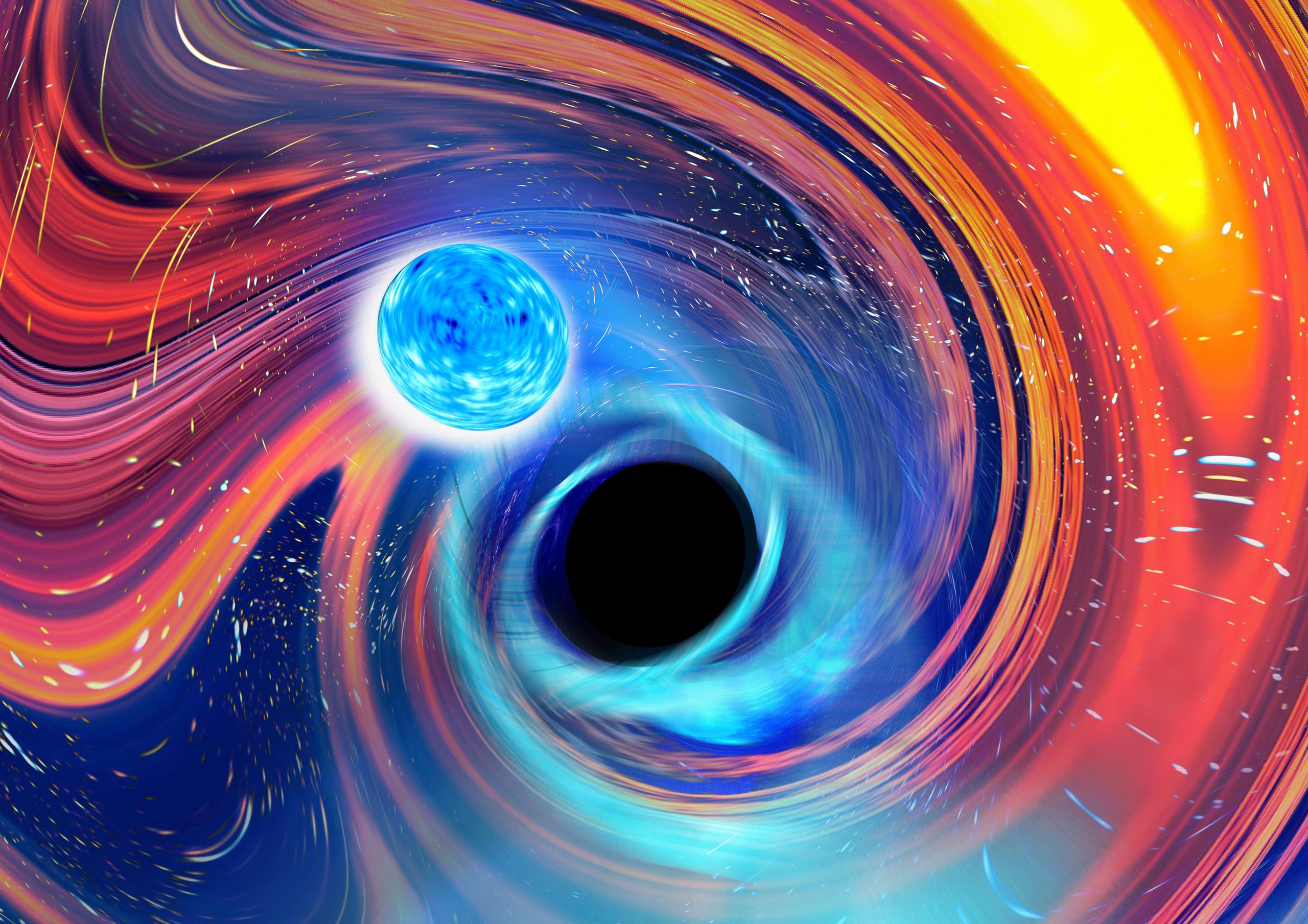 Representación de un agujero negro (al centro) mientras engulle una estrella de neutrones. Las líneas azules son ondas gravitacionales, ondulaciones en el tiempo y el espacio, que es como los astrónomos detectaron la fusión, mientras que las áreas naranjas y rojas indican partes de la estrella de neutrones desprendiéndose.