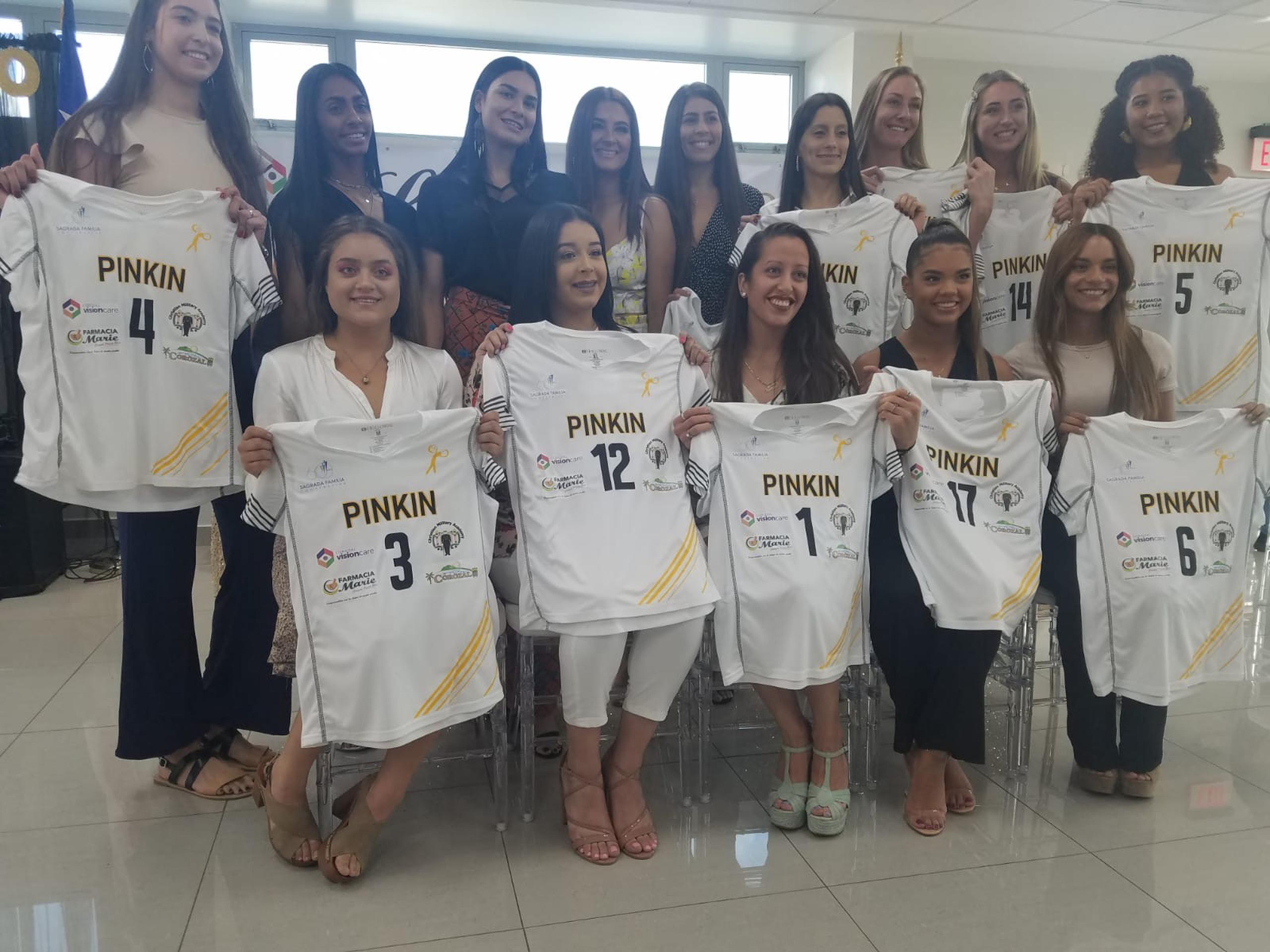 Las Pinkin de Corozal regresan a la Liga de Voleibol Superior Femenino en el torneo 2020, tras seis años de ausencia.