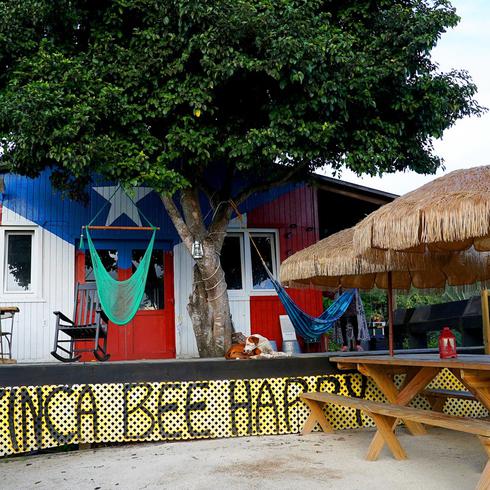 Finca Bee Happy: hermoso escape en Aibonito