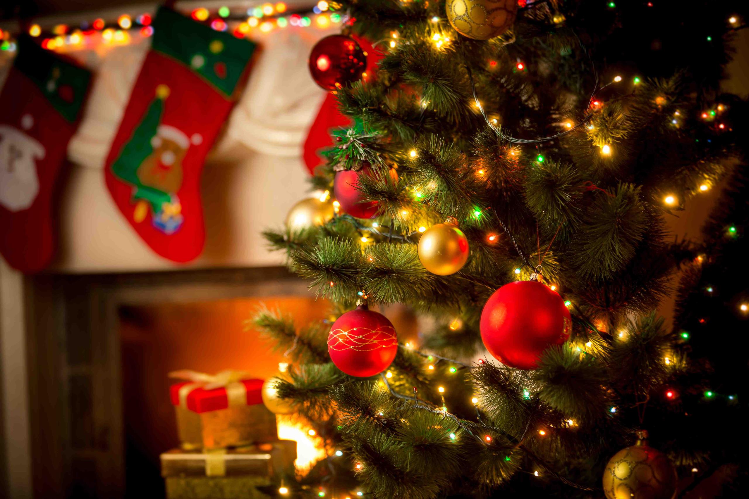 Los bomberos del pueblo alemán de Bell se quedaron sin árbol de Navidad. (Shutterstock)