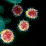 Estados Unidos insinúa que coronavirus se originó en  laboratorio de Wuhan