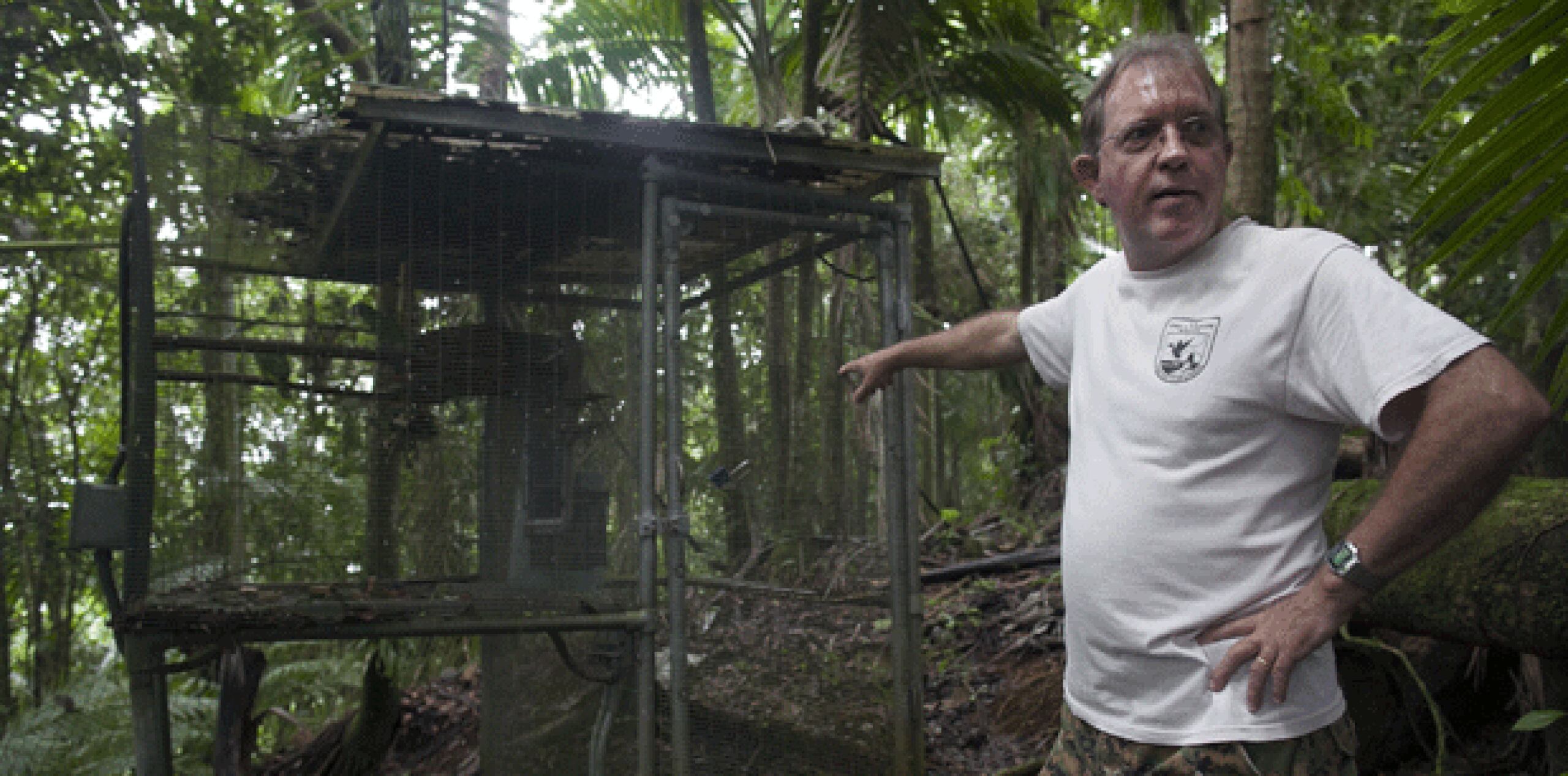 Tom White, biólogo del Programa de Vida Silvestre, muestra una de las jaulas que se encuentra en el bosque. (Para Horizonte / Alvin J. Báez)