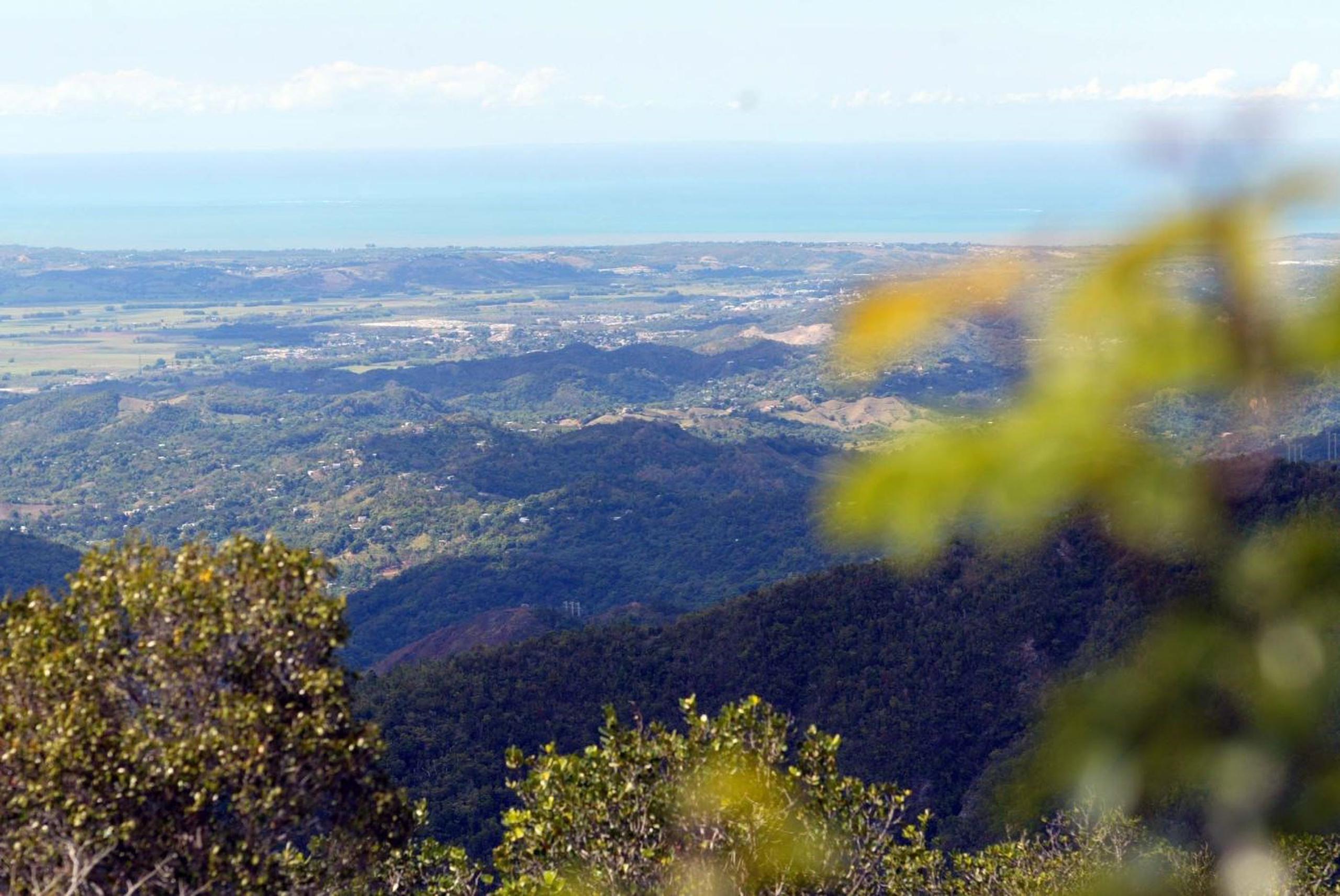 Vista desde el Monte del Estado en Maricao. (Suministrada)