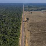 Deforestación en Amazonia brasileña rompe récords para abril