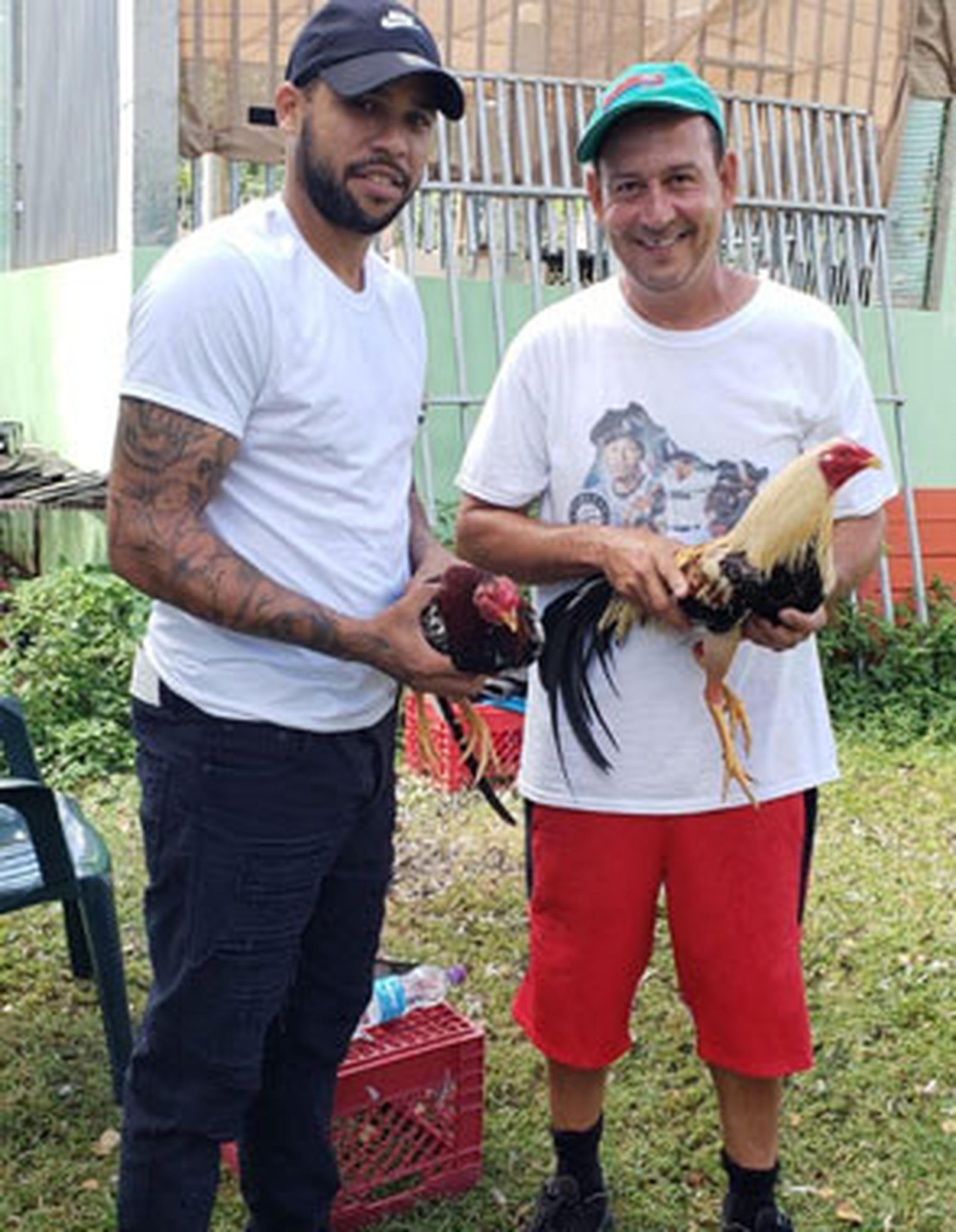 Joel Laboy Burgos y su padre, Toño Laboy Meléndez, lamentan la decisión, pues es un duro golpe su familia, la que se dedica a la crianza de gallos. (Para Primera Hora / Cesiach López Maldonado)