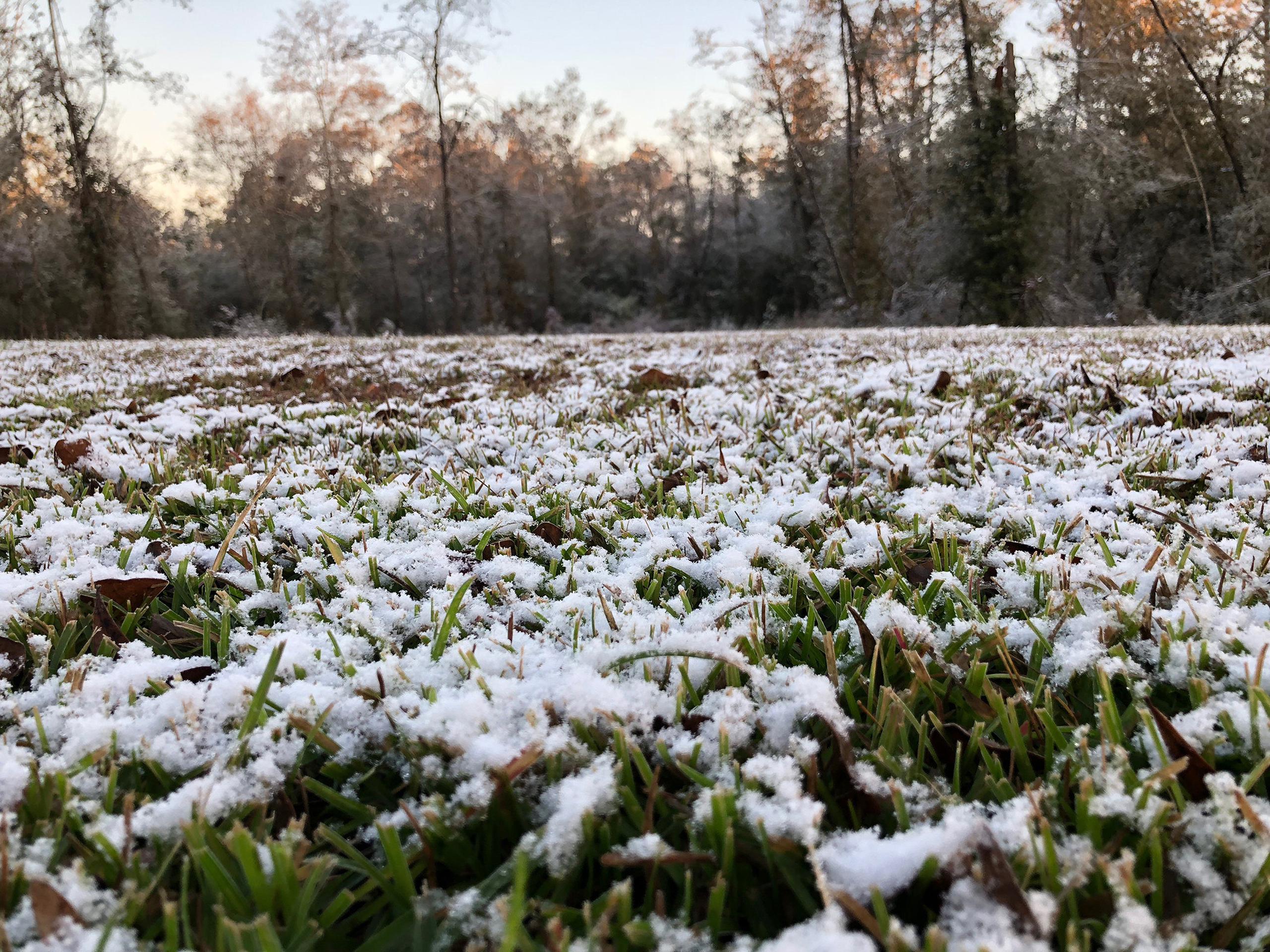 Nieve en Jay, un pueblo ubicado en el condado de Santa Rosa en el estado de Florida. (EFE / Sarah Whitfield / Condado de Santa Rosa)