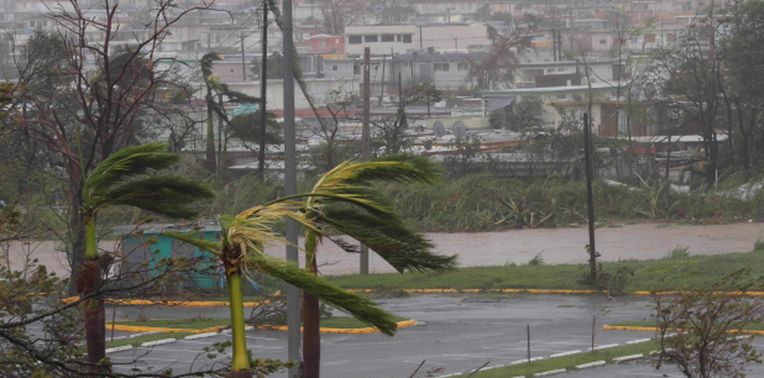 La red incluye numerosos videos de supuestos daños ocasionados por María en la Isla. (vanessa.serra@gfrmedia.com)

