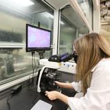 UPR-Bayamón estrena laboratorios de Biología con microscopios vanguardistas