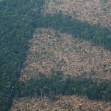 Deforestación en la Amazonía brasileña rompe récord en abril 