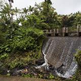 Asignan un millón de dólares en mejoras al acceso a El Yunque 