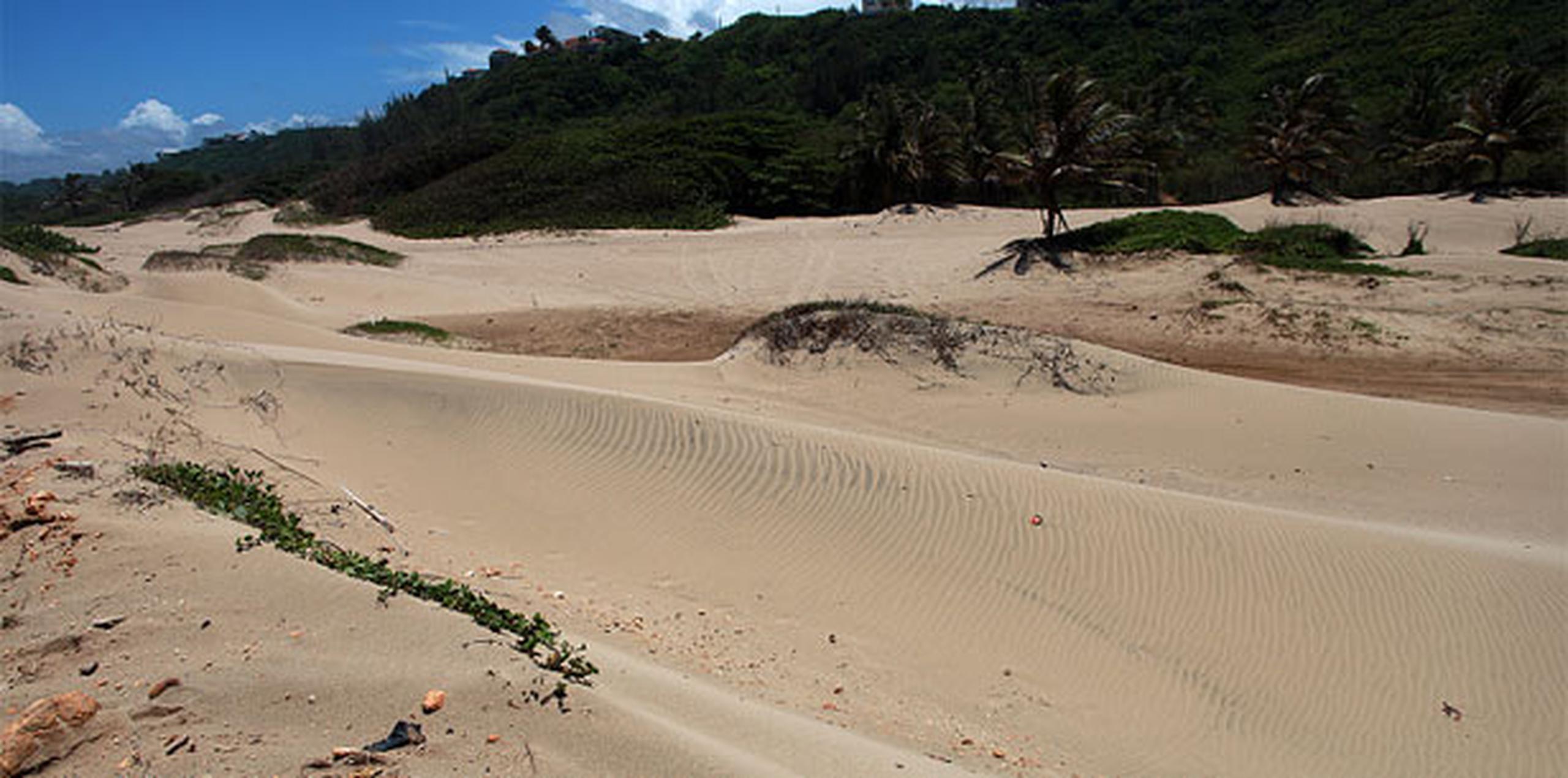 Las dunas de Isabela han sido escenario de un proyecto de restauración desde el año 2007. (Archivo)