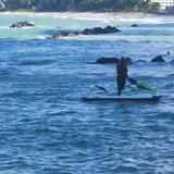 Fuerte oleaje arrastra a tres menores en Punta Las Marías 