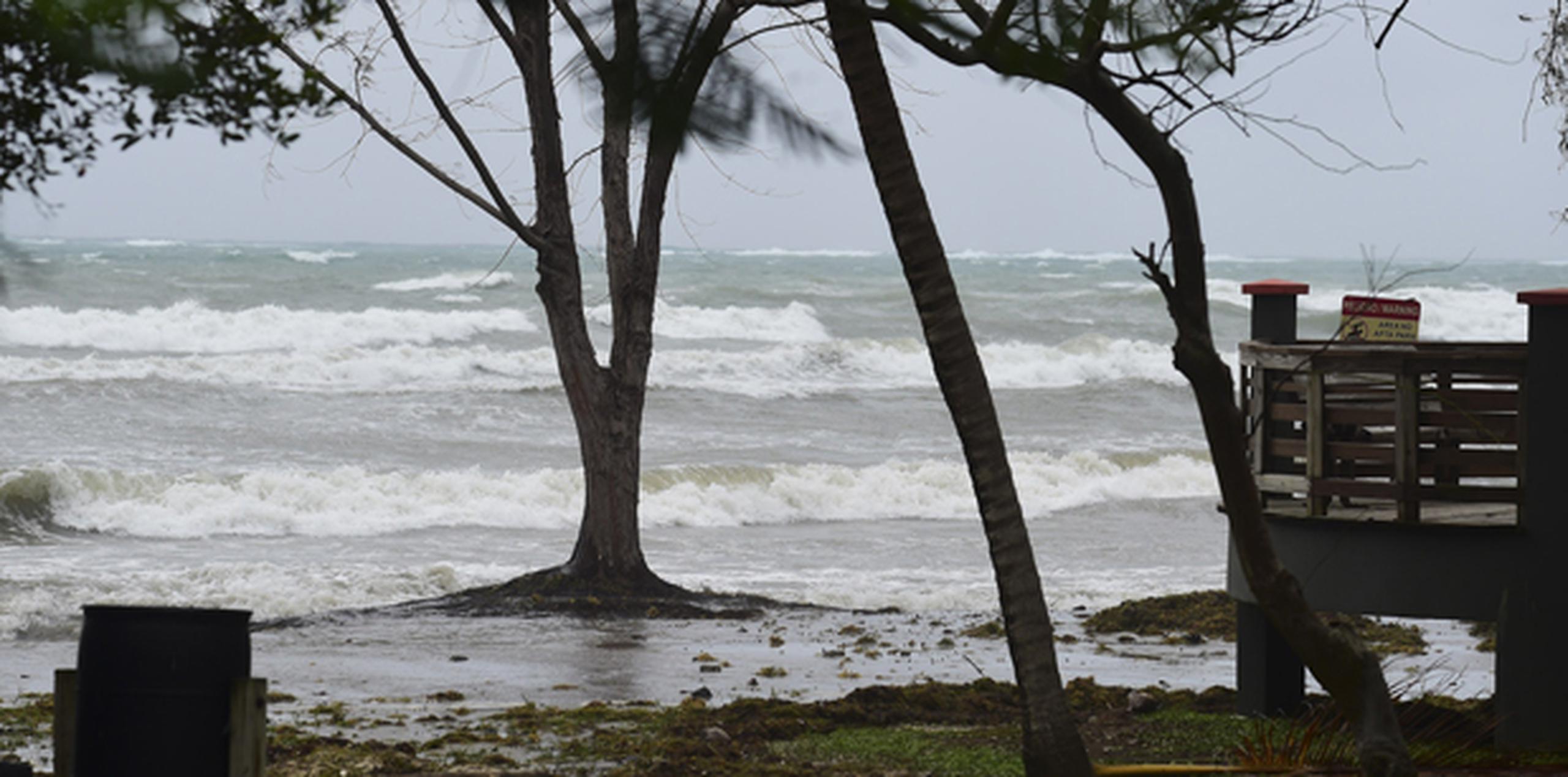 Las olas en la costa norte serán de unos 3 pies de altura, y en el sur estarán bajo los 5 pies.(tony.zayas@gfrmedia.com)
