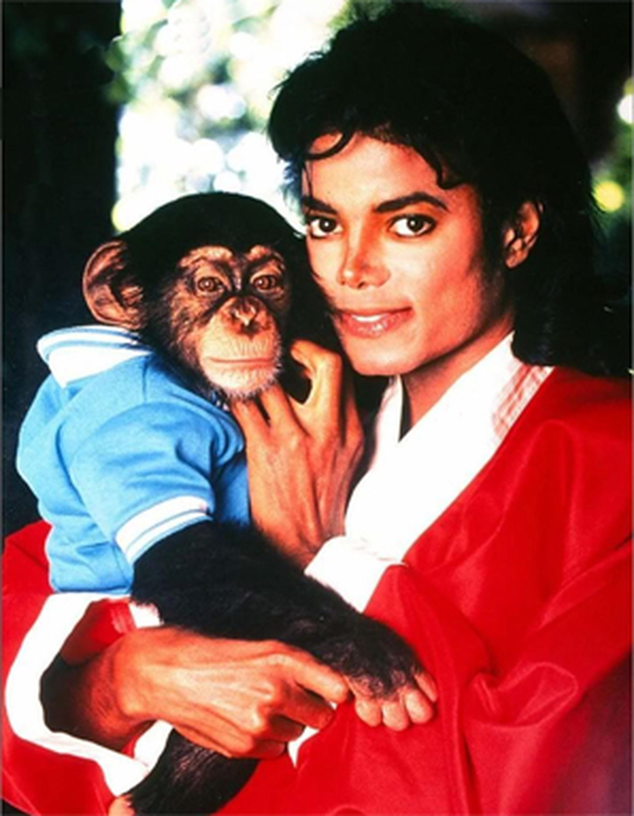 Actualmente, el mono vive en un santuario ubicado en Wauchula, Florida.