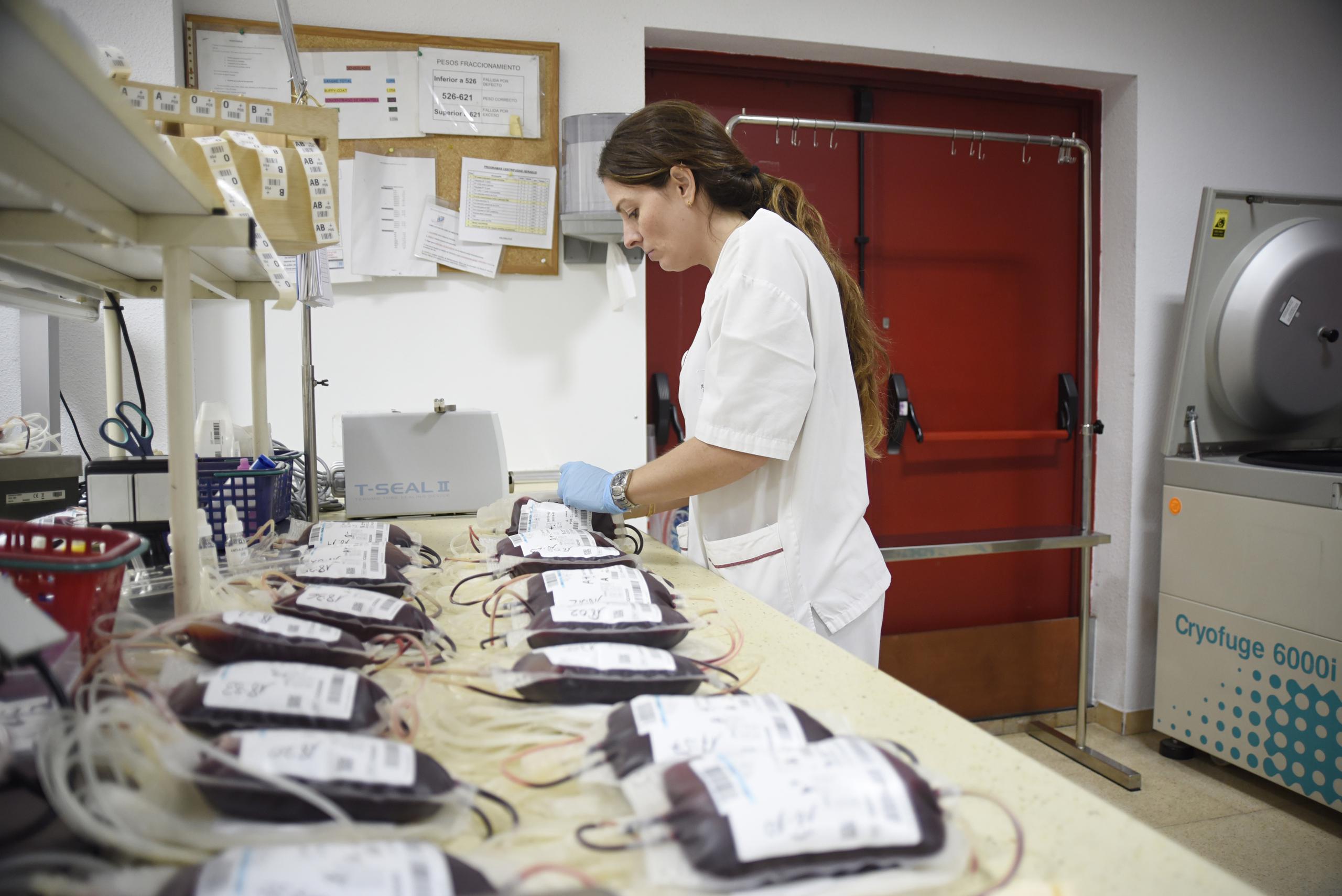 Como parte del ensayo clínico, un mínimo de diez participantes recibirán dos minitransfusiones con al menos cuatro meses de diferencia, una de glóbulos rojos normales donados y otra de los cultivados en el laboratorio.
