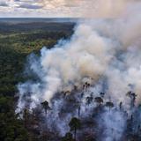 Doce millones de personas sufrirán calor extremo en la Amazonía brasileña 