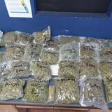 Incautan 18 libras de marihuanas en residencia abandonada