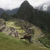 Pueblo junto a Machu Picchu sufre inundaciones por desborde río