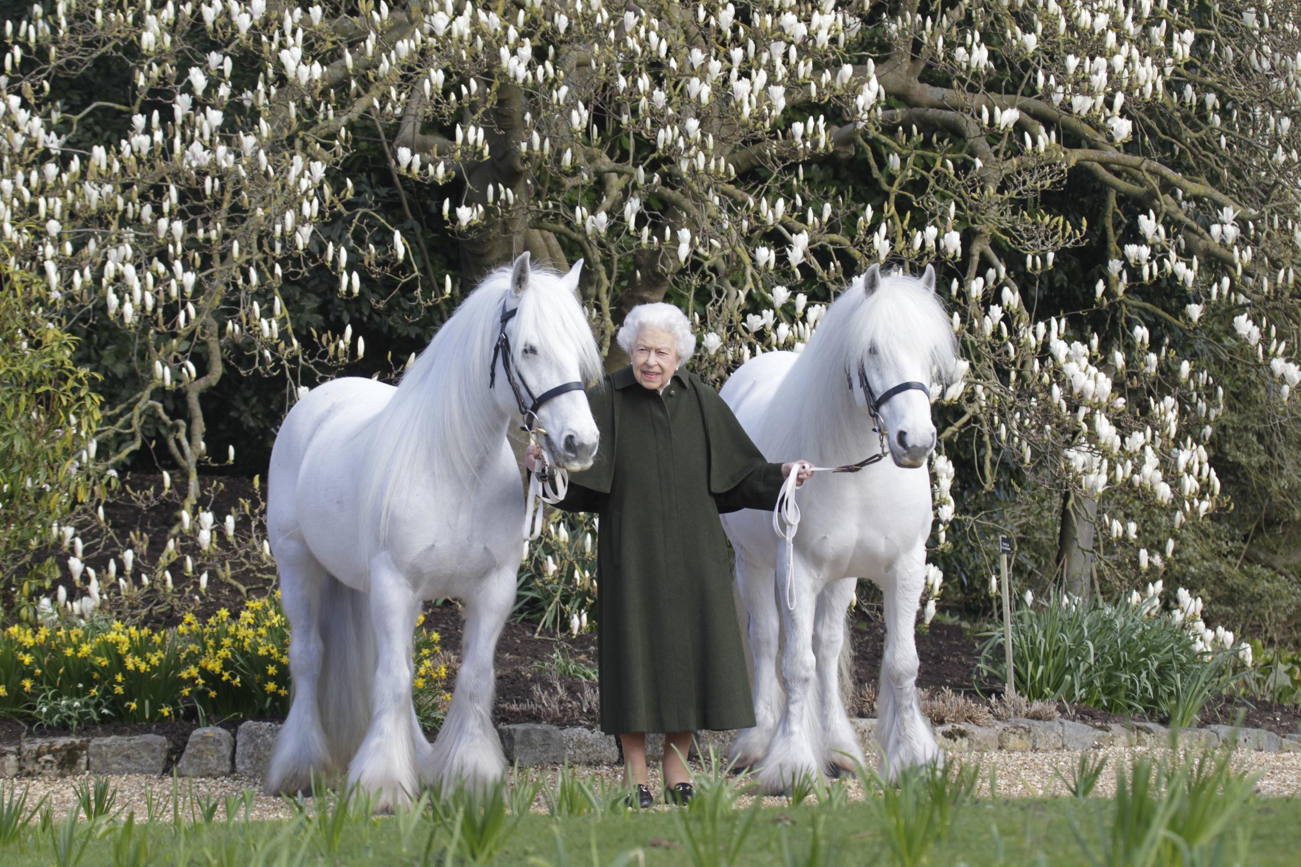 Foto difundida por Royal Windsor Horse Show que muestra a la reina disfrutando de sus caballos, una de sus grandes pasiones.