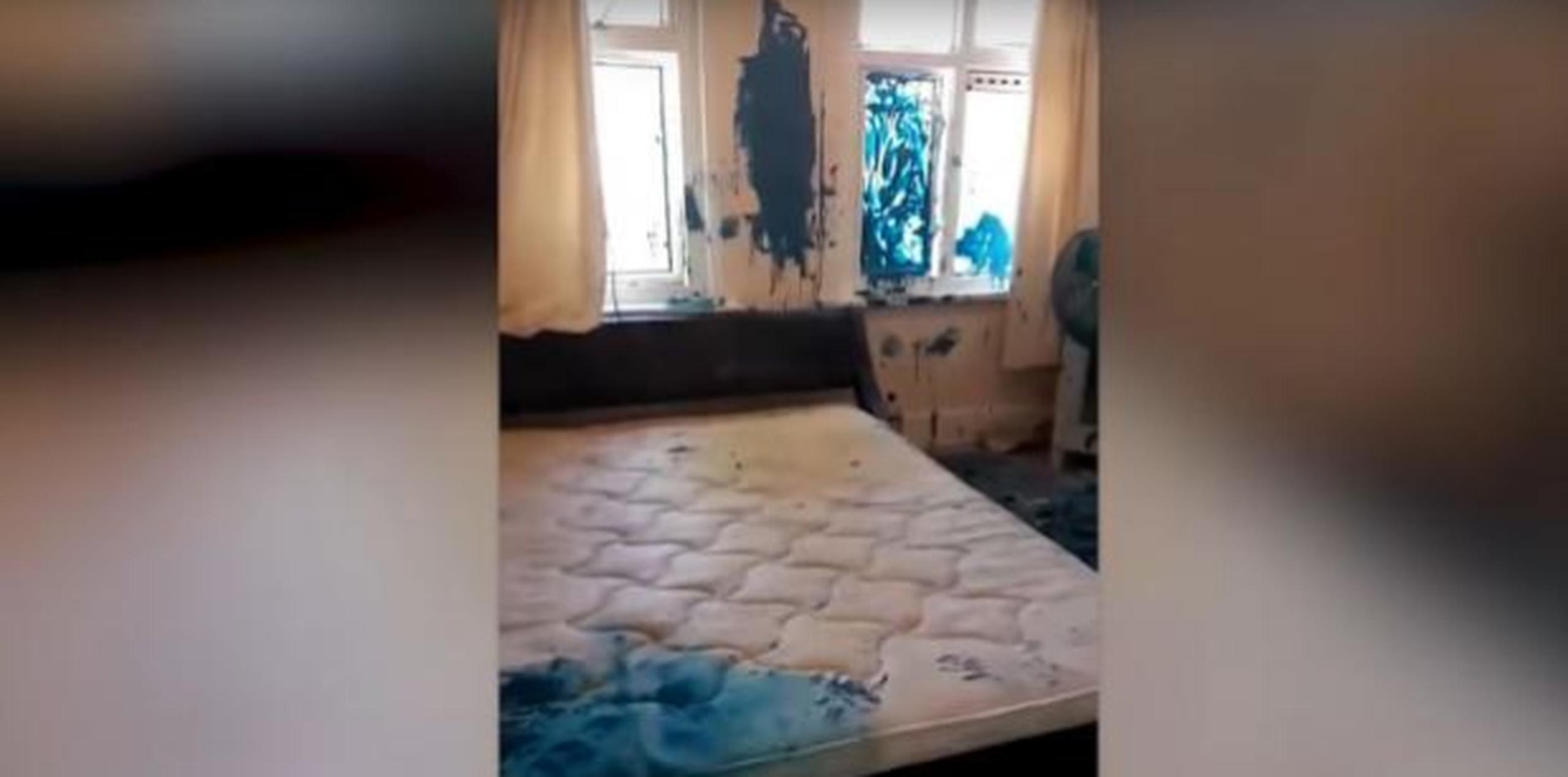 Paredes, camas, mueble y ropa terminaron cubiertas de pintura azul. (Foto: captura de vídeo)