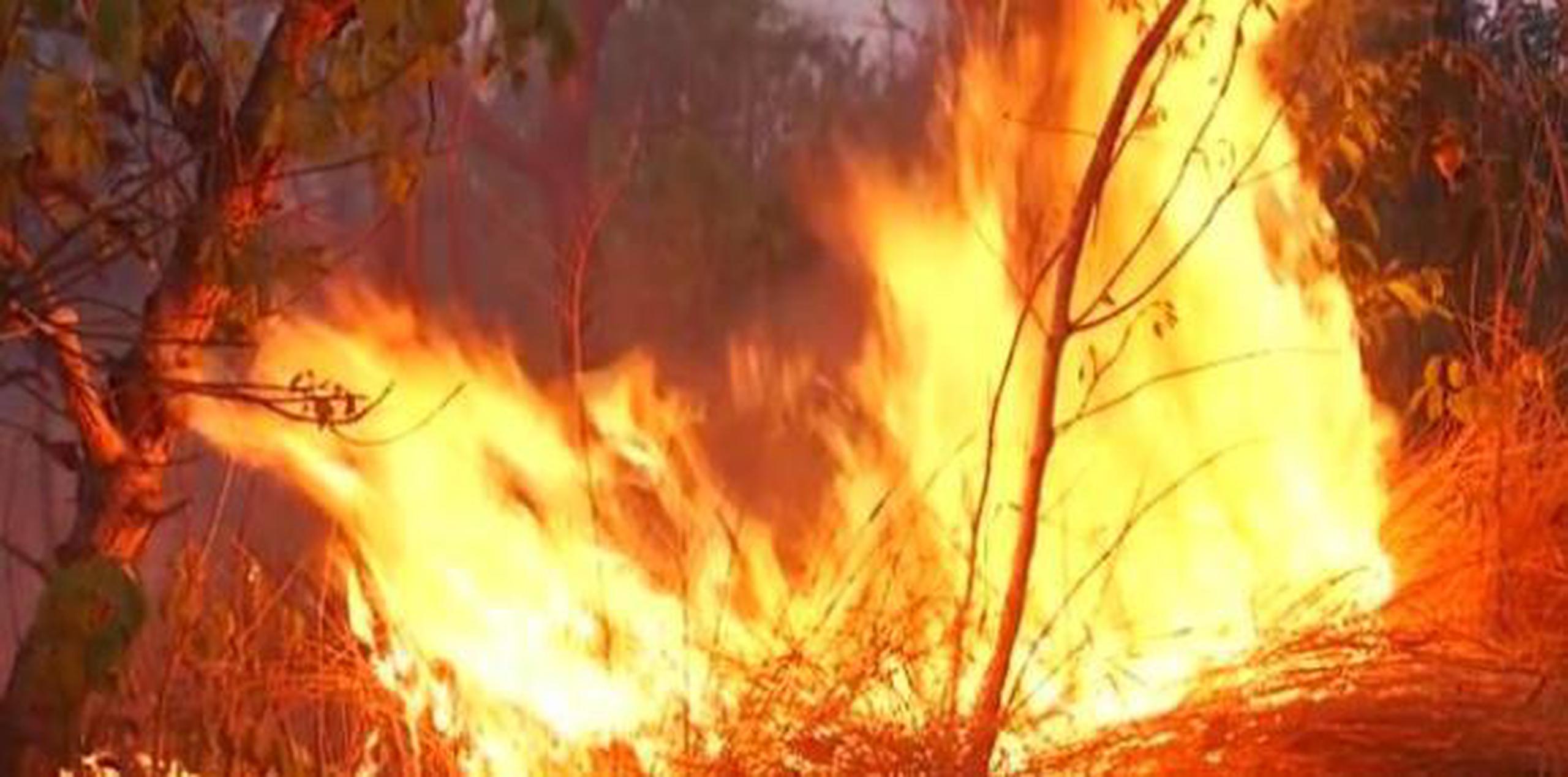 Parte de un fuego en la Amazonia. "El número de focos de calor registrado en la Amazonía ya es en un 60 % superior al de los últimos tres años y ese pico tiene relación con la deforestación y no con una sequía", denunció una organización.  (O Globo/GDA)