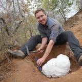 Descubren en Zimbabue el dinosaurio más antiguo de África 