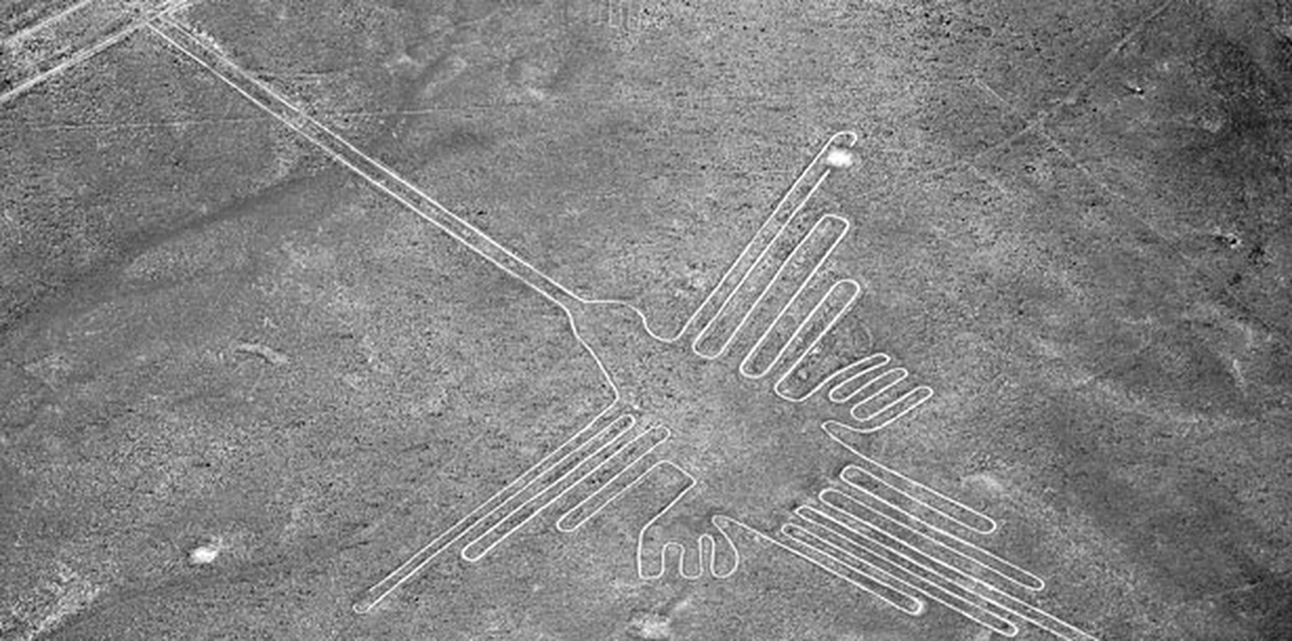 Los geoglifos de Palpa, descubiertos en 1926, fueron realizados por la cultura Paracas y preceden a las figuras de Nazca, descubiertas en 1927 y más famosas por tener mayor complejidad y ser el legado más importante de la cultura Nazca. (Archivo)