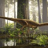 Descubren en Brasil uno de los antepasados más antiguos del Tyrannosaurus Rex 