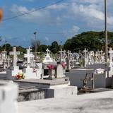 Roban lápidas y floreros de un cementerio en Manatí 
