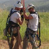 Líderes demócratas piden investigación de Seguridad Interna a WhiteFish