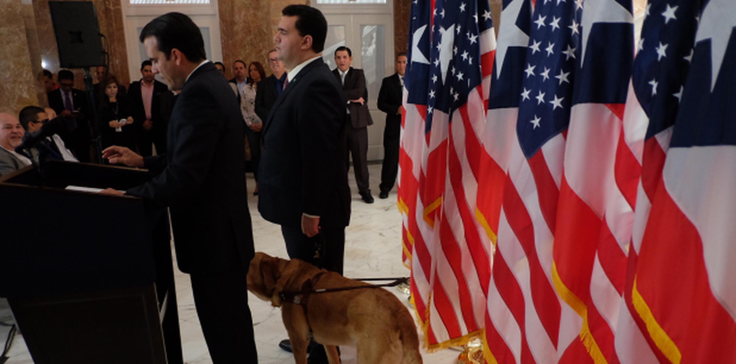 Contreras, acompañado de su perro guía, escucha las palabras del gobernador Rosselló. (xavier.araujo@gfrmedia.com)