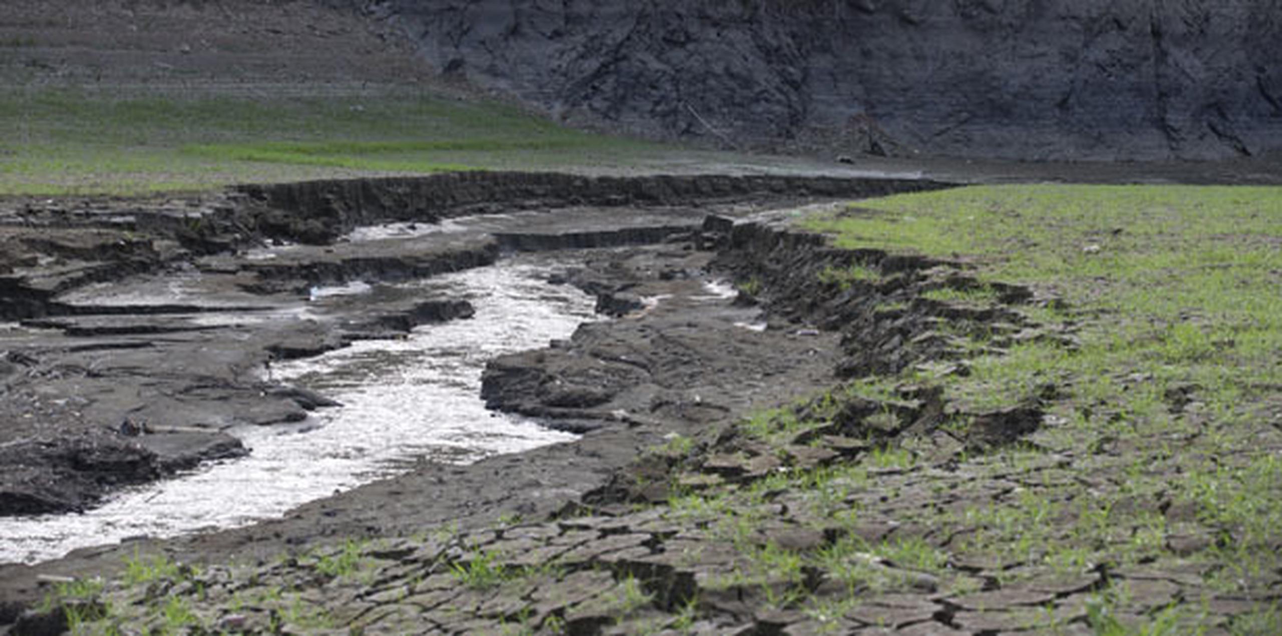 Los abonados de La Plata todavía sufren la falta de lluvia y los recortes del servicio de agua potable. (Archivo)